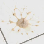 Spilled mucus brown foam on white tiled floor.