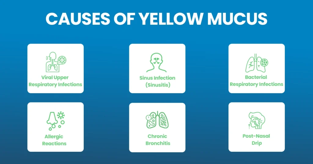 Causes of yellow mucus including infections and allergies.
