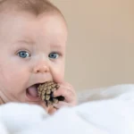 Teething can cause a runny nose in babies.