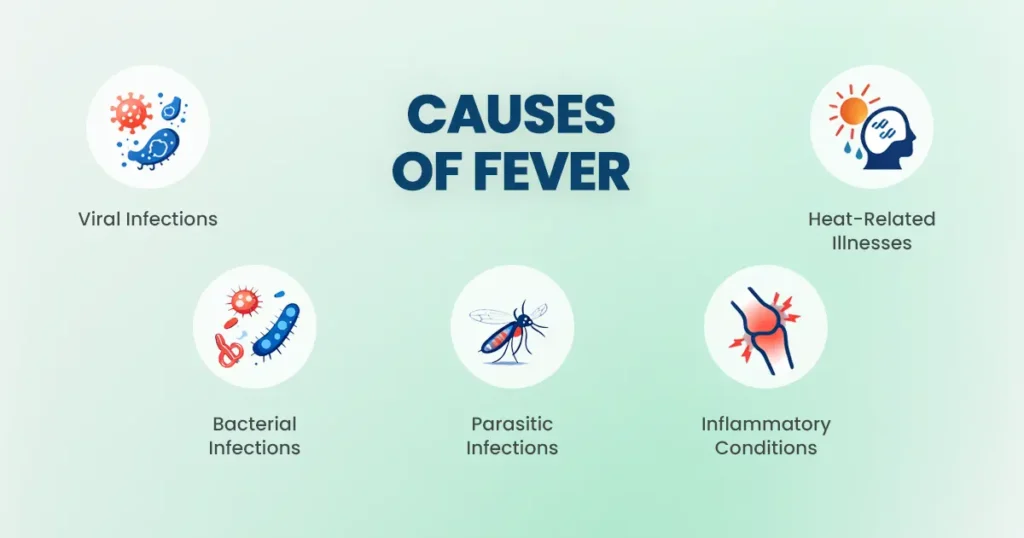 A clinical infographic showing five primary causes of fever: viral infections, bacterial infections, parasitic infections, inflammatory conditions, and heat-related illnesses