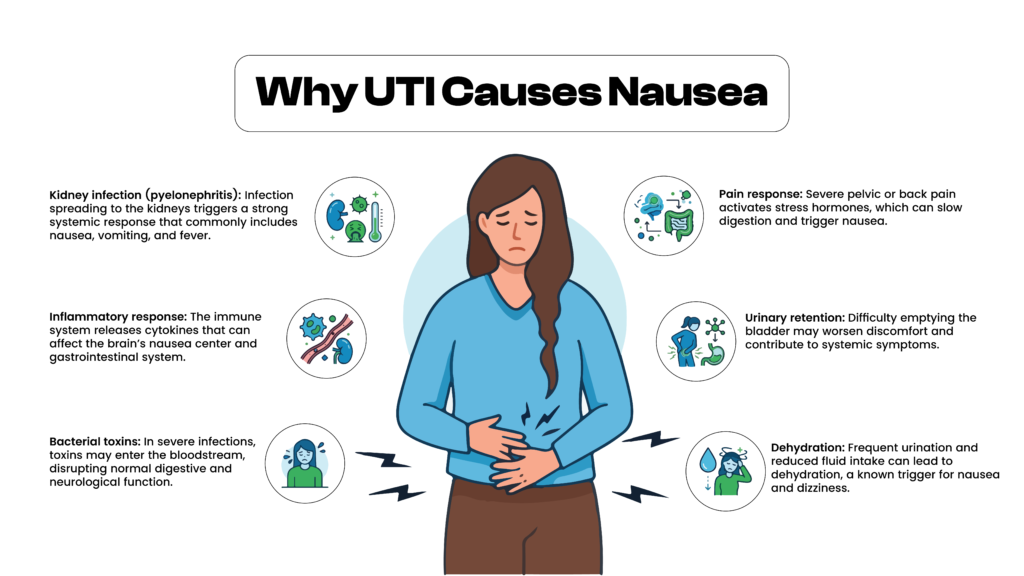 A medical infographic showing a woman experiencing nausea with six common UTI-related causes surrounding her.