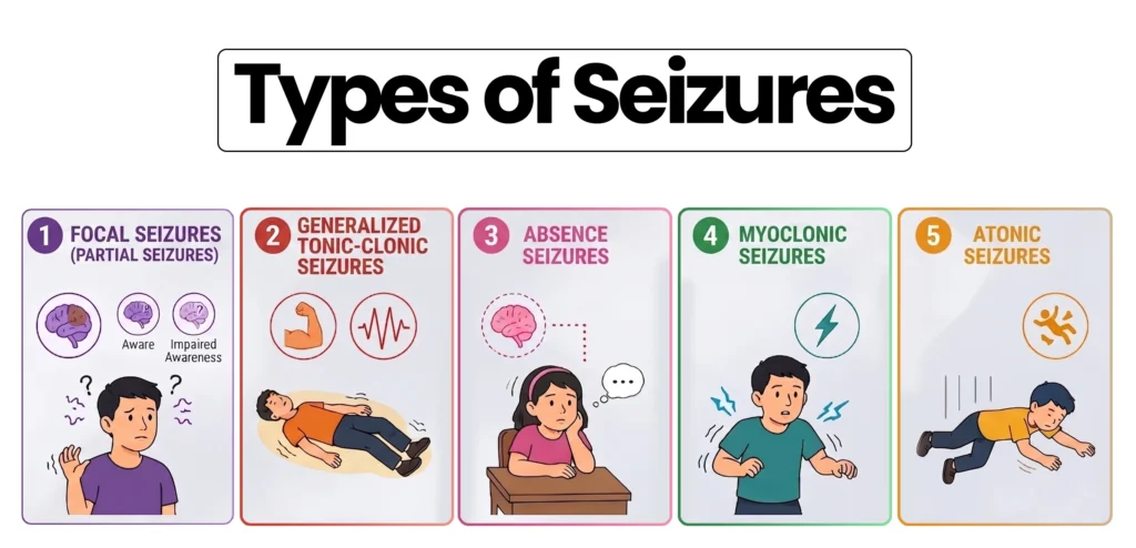 An educational infographic detailing five different types of seizures.